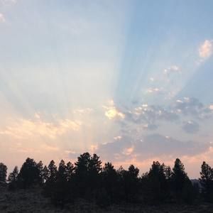 Meet your Posher, Debra